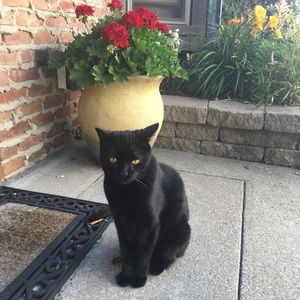 Meet your Posher, Robin